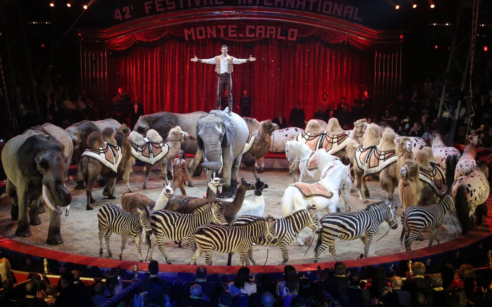 Zirkus-Festival Monaco
