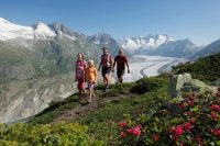 Zentralschweiz-Furkapass-Aletschgletscher