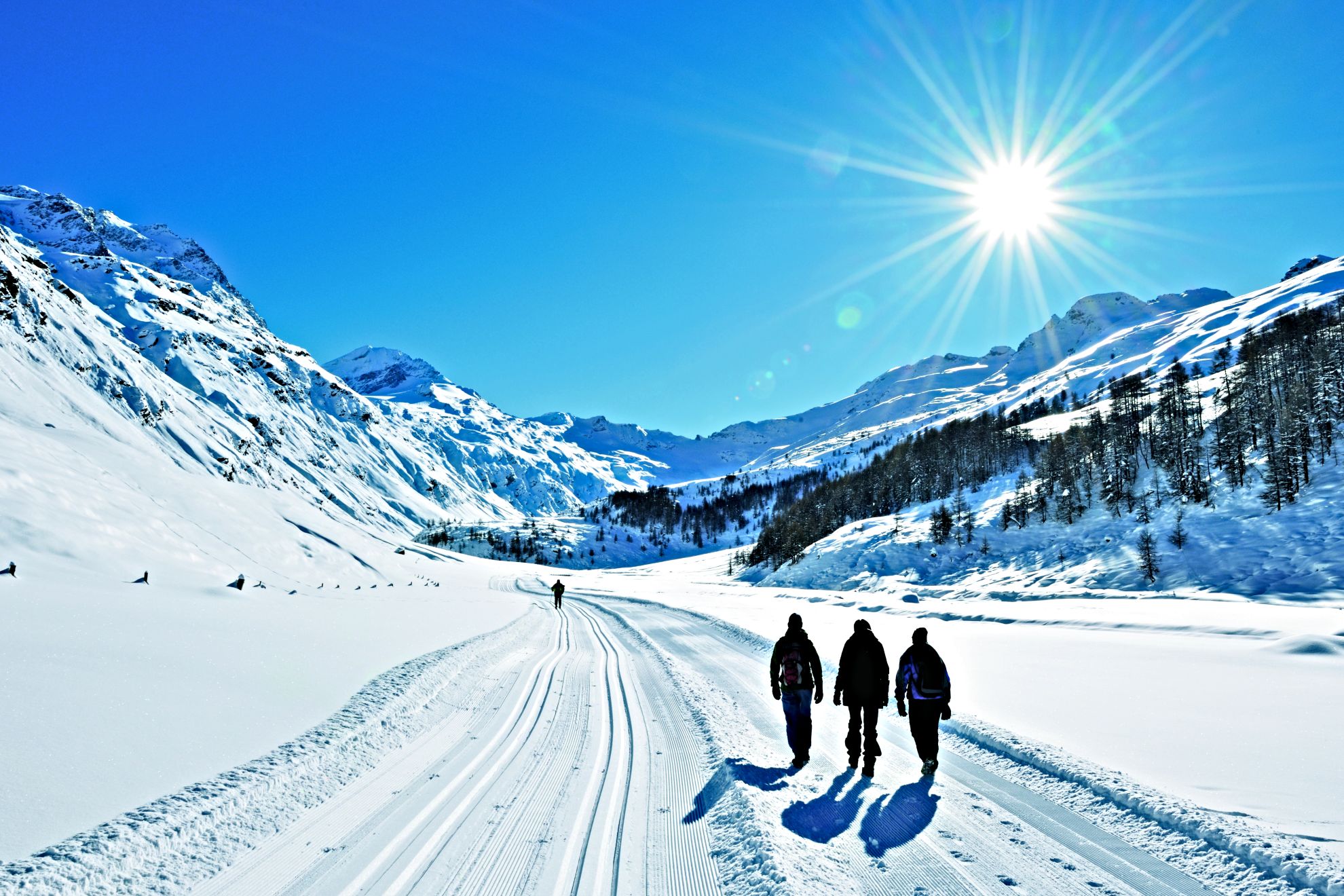 Winter Wandern Schnee Sonne Schweiz
